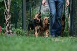 ADULTE ET CHIEN 388